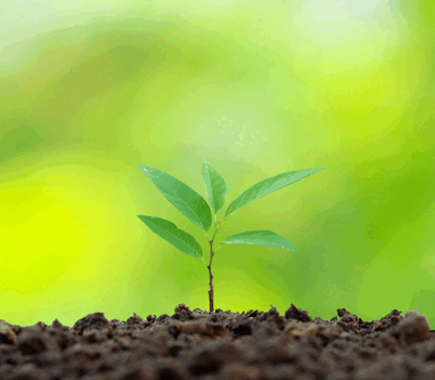 Environmental Services